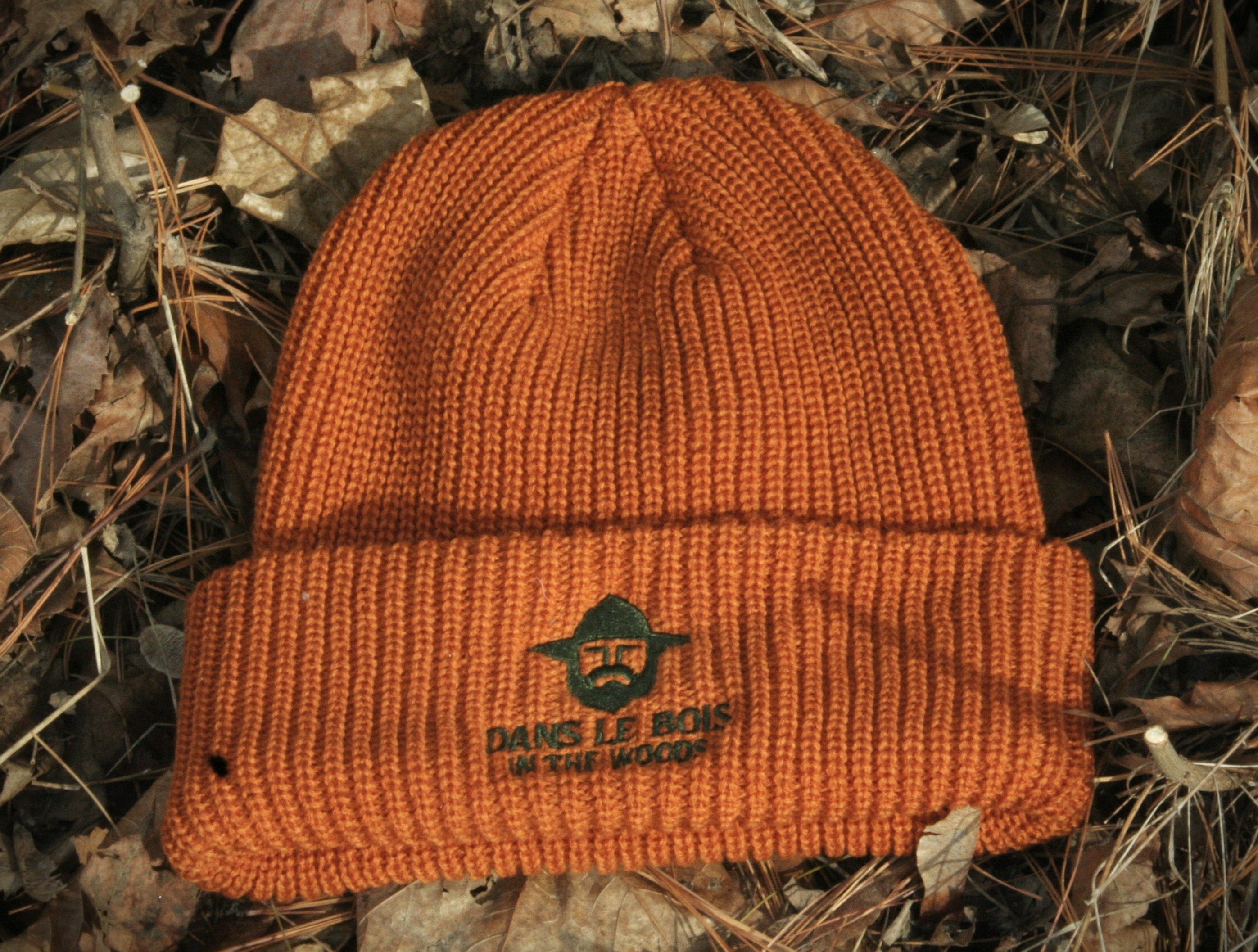 Tuque dans le bois